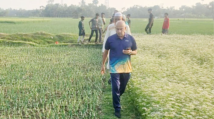 পাংশায় ক্ষতিগ্রস্ত কৃষকের পেঁয়াজ ক্ষেত পরিদর্শনে এমপি হারুন॥দুর্বৃত্তদের প্রতি কঠোর হুঁশিয়ারি